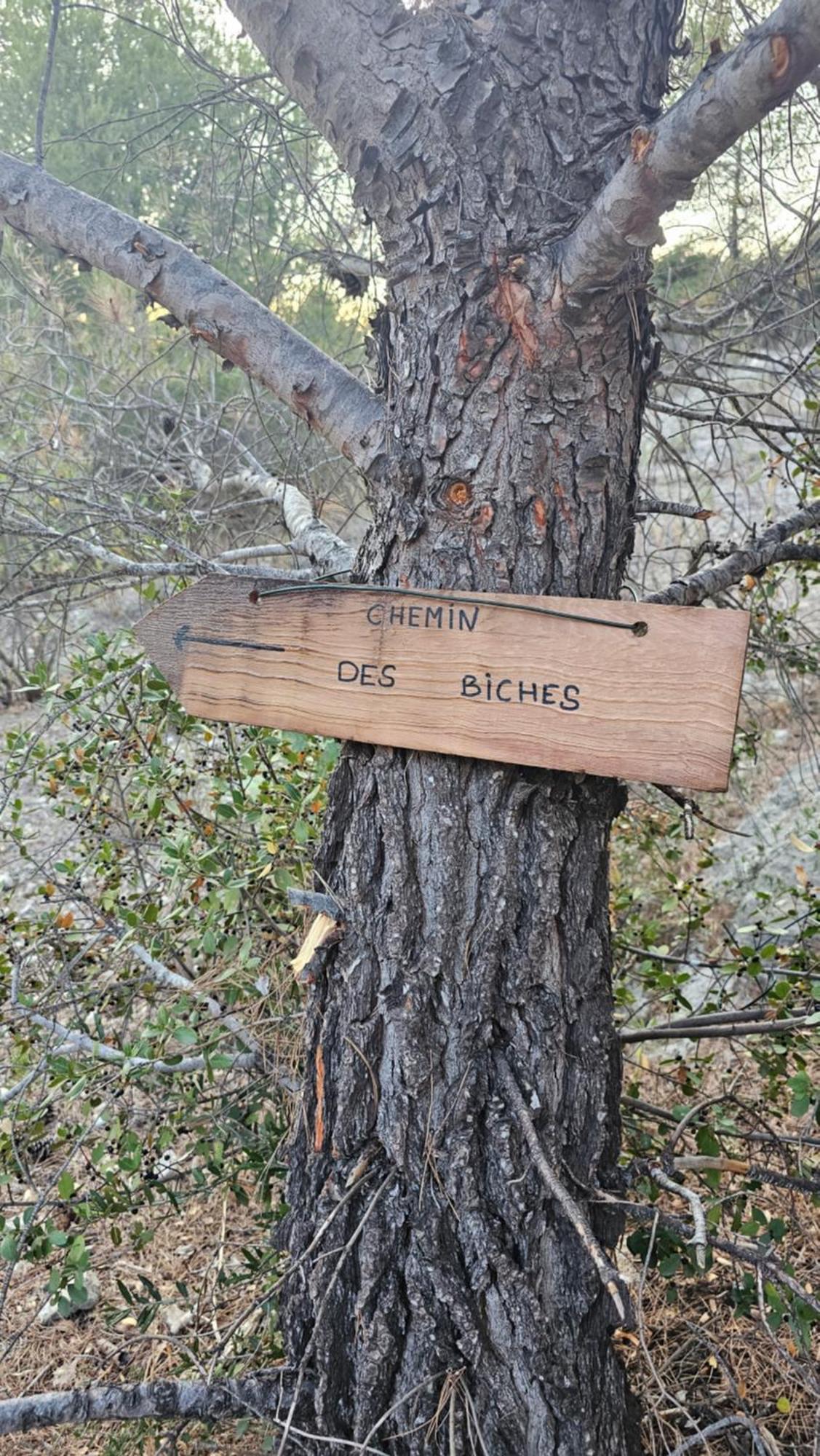 Maison Allauch La Gloire De Mon Pere Kültér fotó